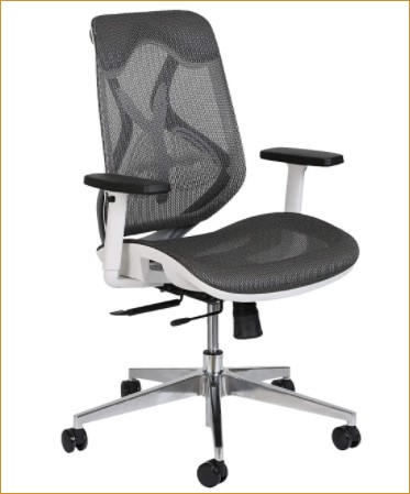 MISURAA Imported Xenon Mid Back Ergonomic Chair for Office & Home